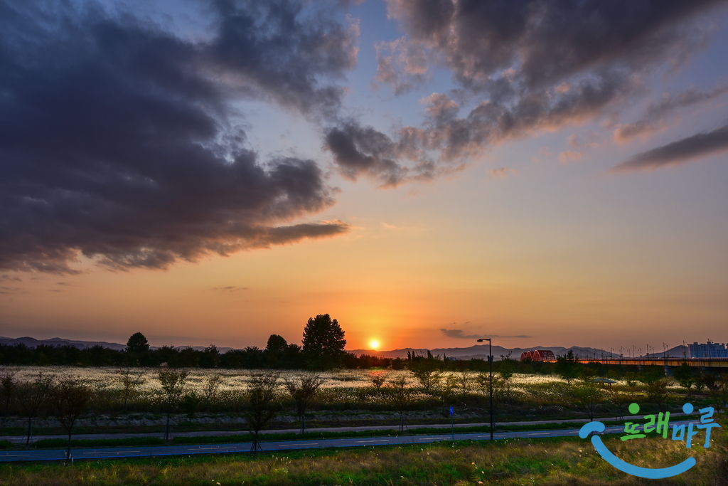 DSC_3099.jpg